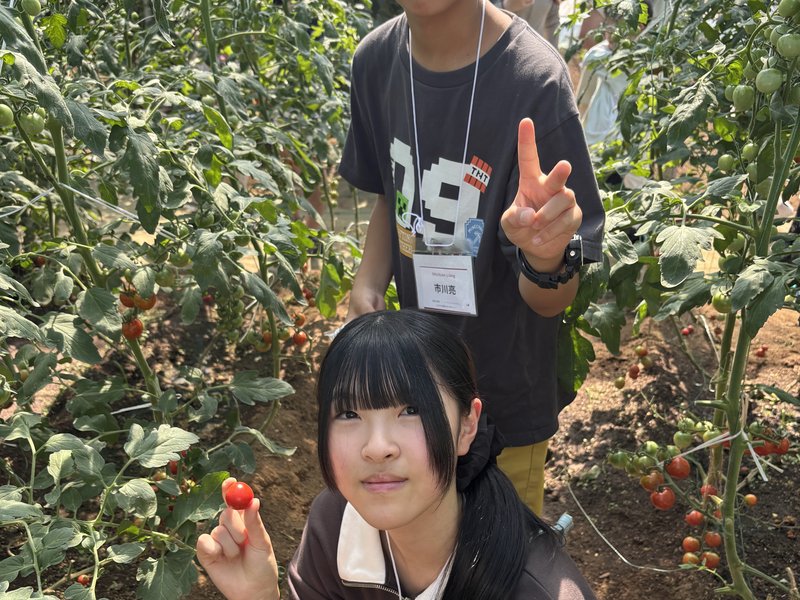 ミニトマトを手に取る子どもたち
