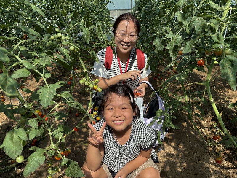 ミニトマトの前で笑顔を見せる子ども