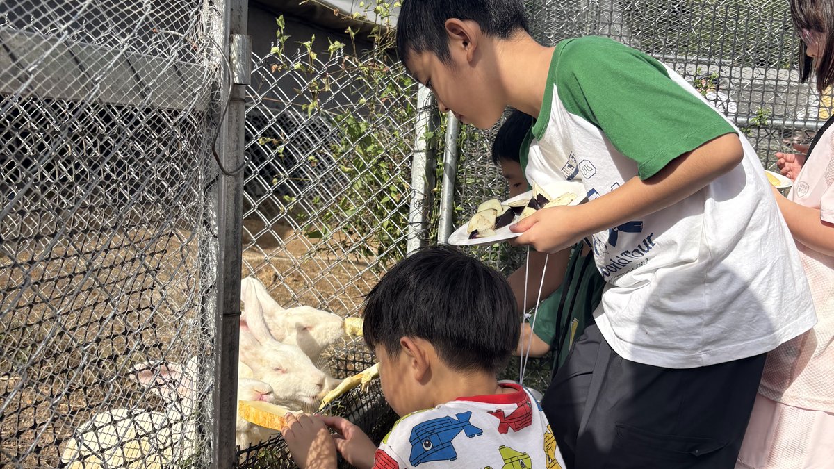 柵ごしに動物へえさをあげる子どもたち
